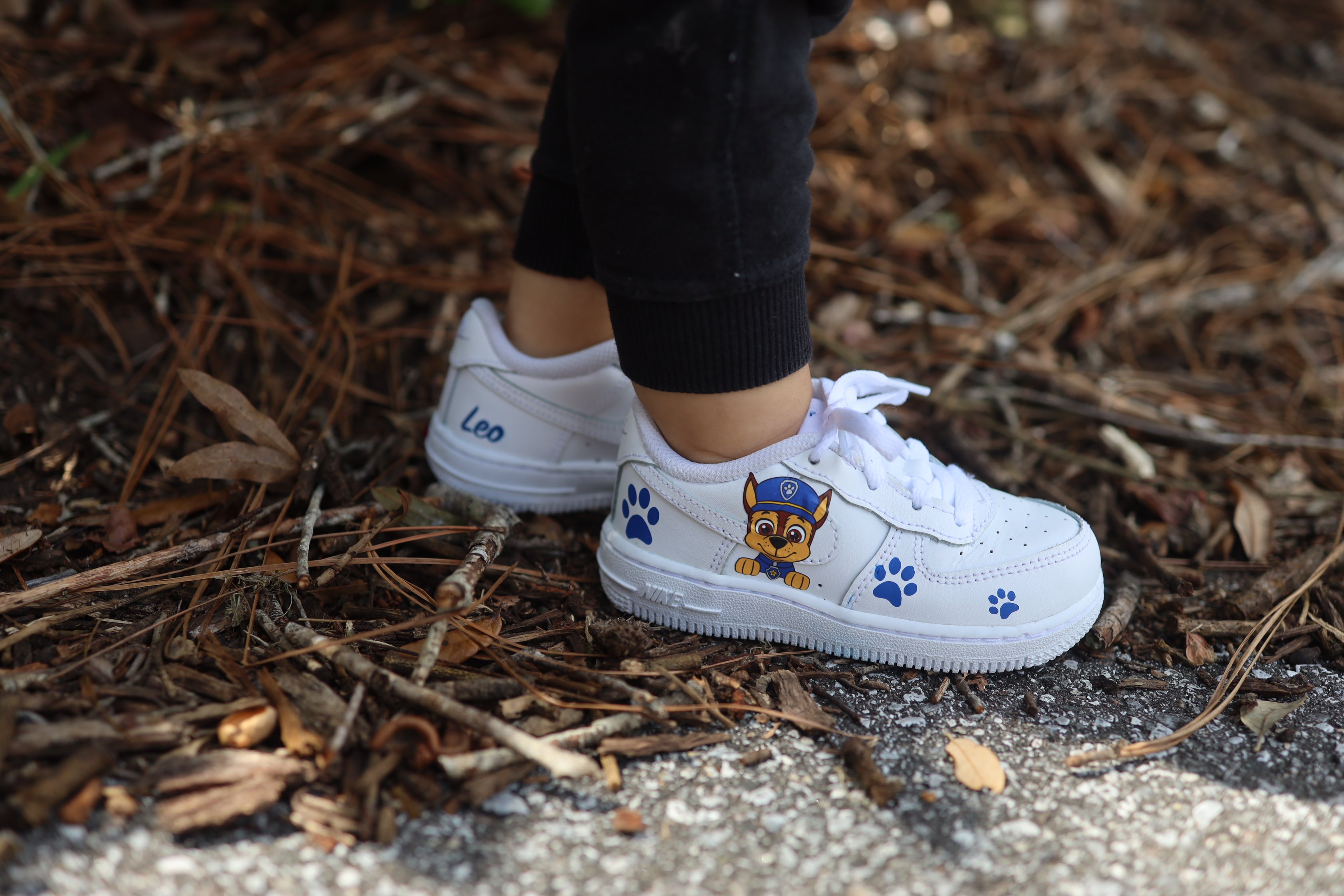 Paw Patrol Toddler Boy Air Force 1 Low Custom Kids Shoes Hand Painted solecraftstudio